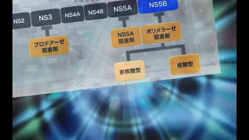 C型慢性肝炎に対するDAA治療の課題：薬剤耐性