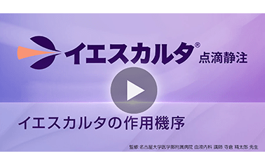 イエスカルタの作用機序