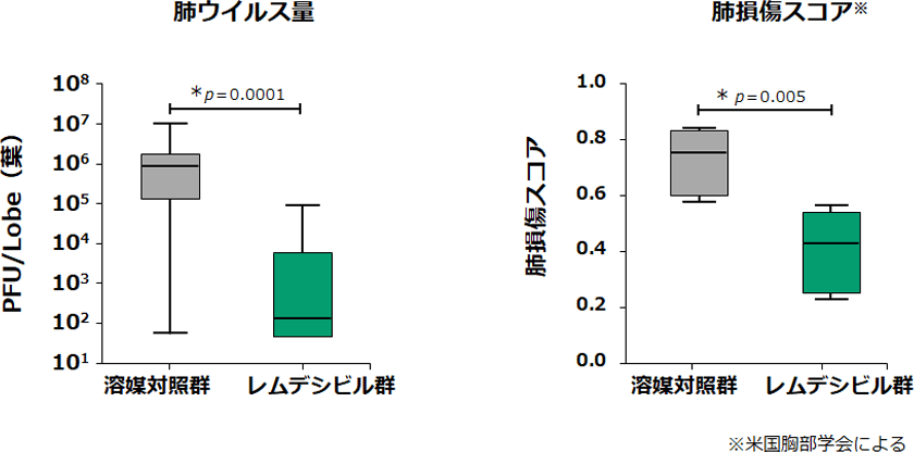 MERS-CoVに対するレムデシビルの抗ウイルス作用(マウスモデル)