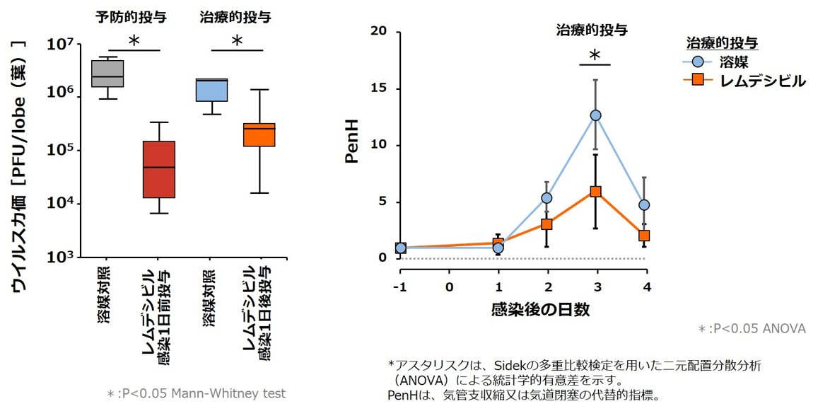 SARS-CoVに対するレムデシビルの抗ウイルス作用(マウスモデル)