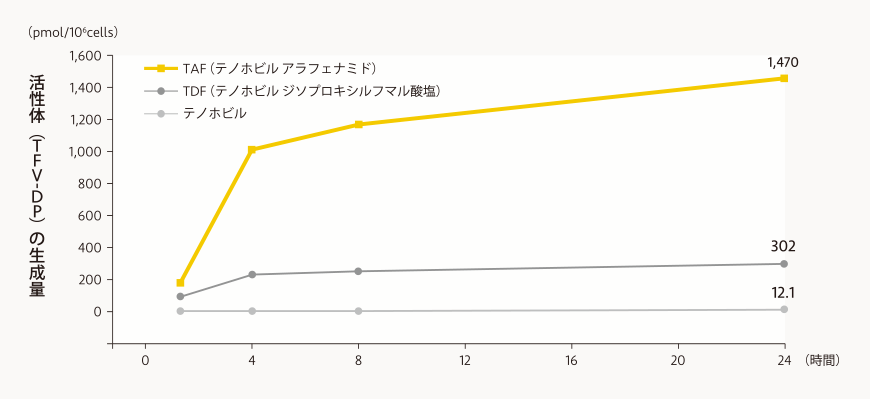 ヒト初代培養肝細胞への添加による活性体の生成(in vitro)