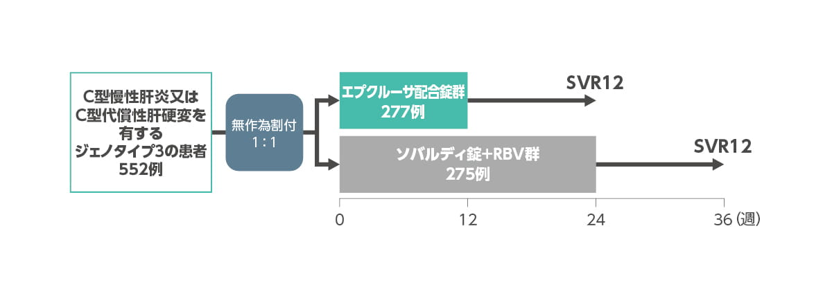 C型慢性肝炎又はC型代償性肝硬変を有する患者における海外第3相臨床試験（ASTRAL-3）：試験デザイン