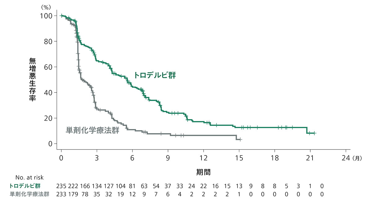 無増悪生存期間（Kaplan-Meier）：(1)グラフ