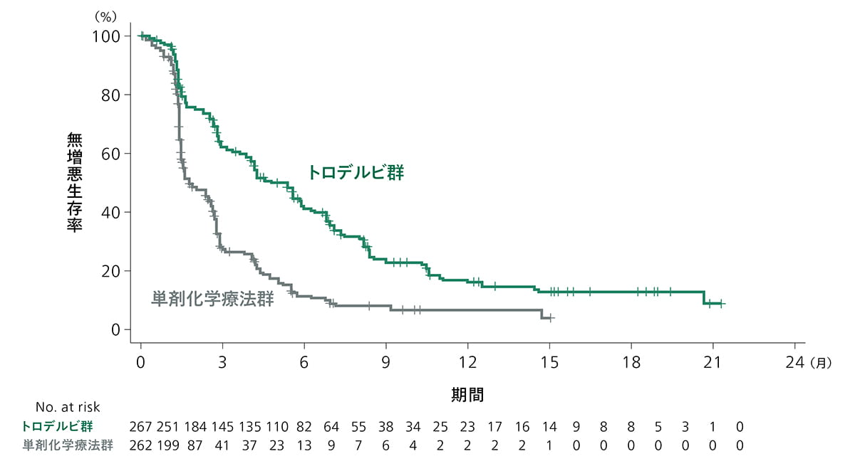 無増悪生存期間（Kaplan-Meier）：(2)グラフ