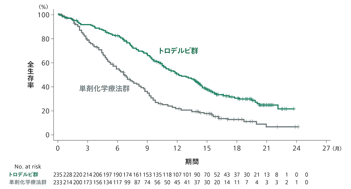 全生存期間（Kaplan-Meier）：(1)グラフ