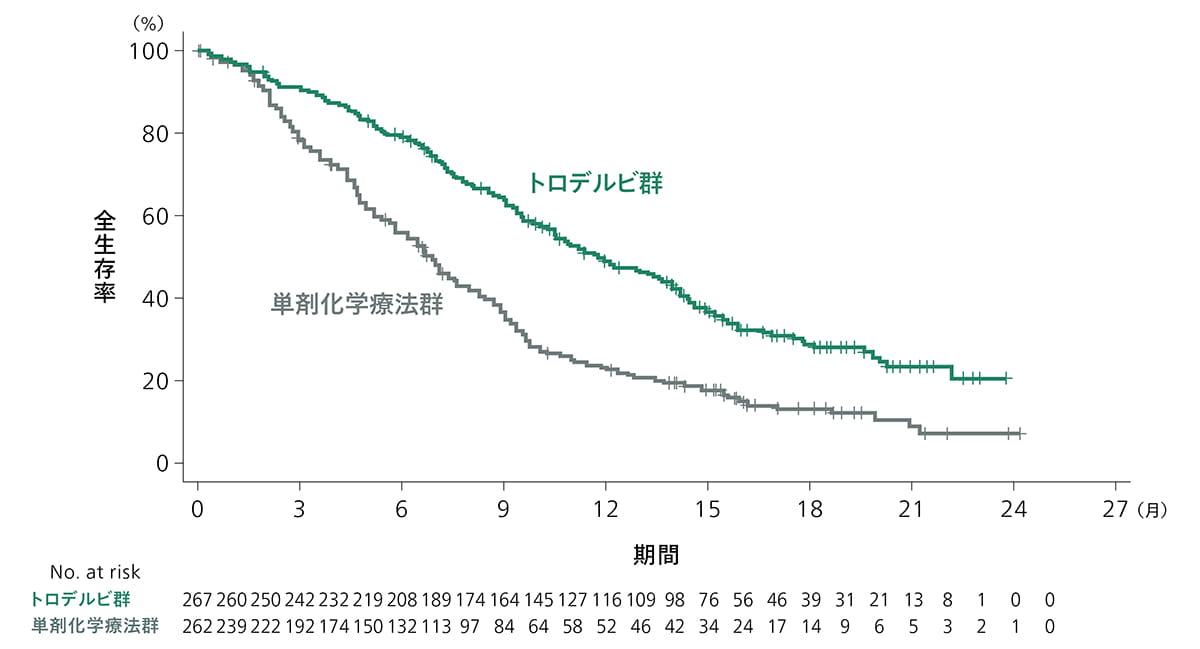 全生存期間（Kaplan-Meier）：(2)グラフ