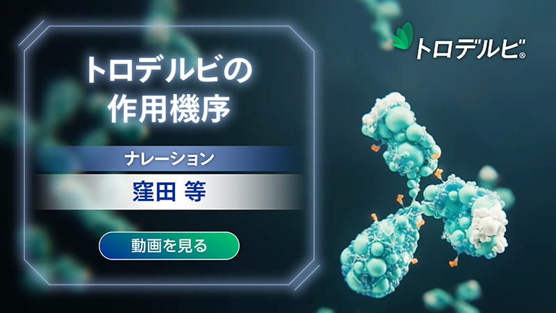 SGの作用機序：動画