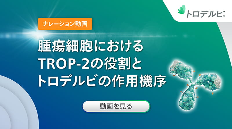 腫瘍細胞におけるTROP-2の役割とトロデルビの作用機序